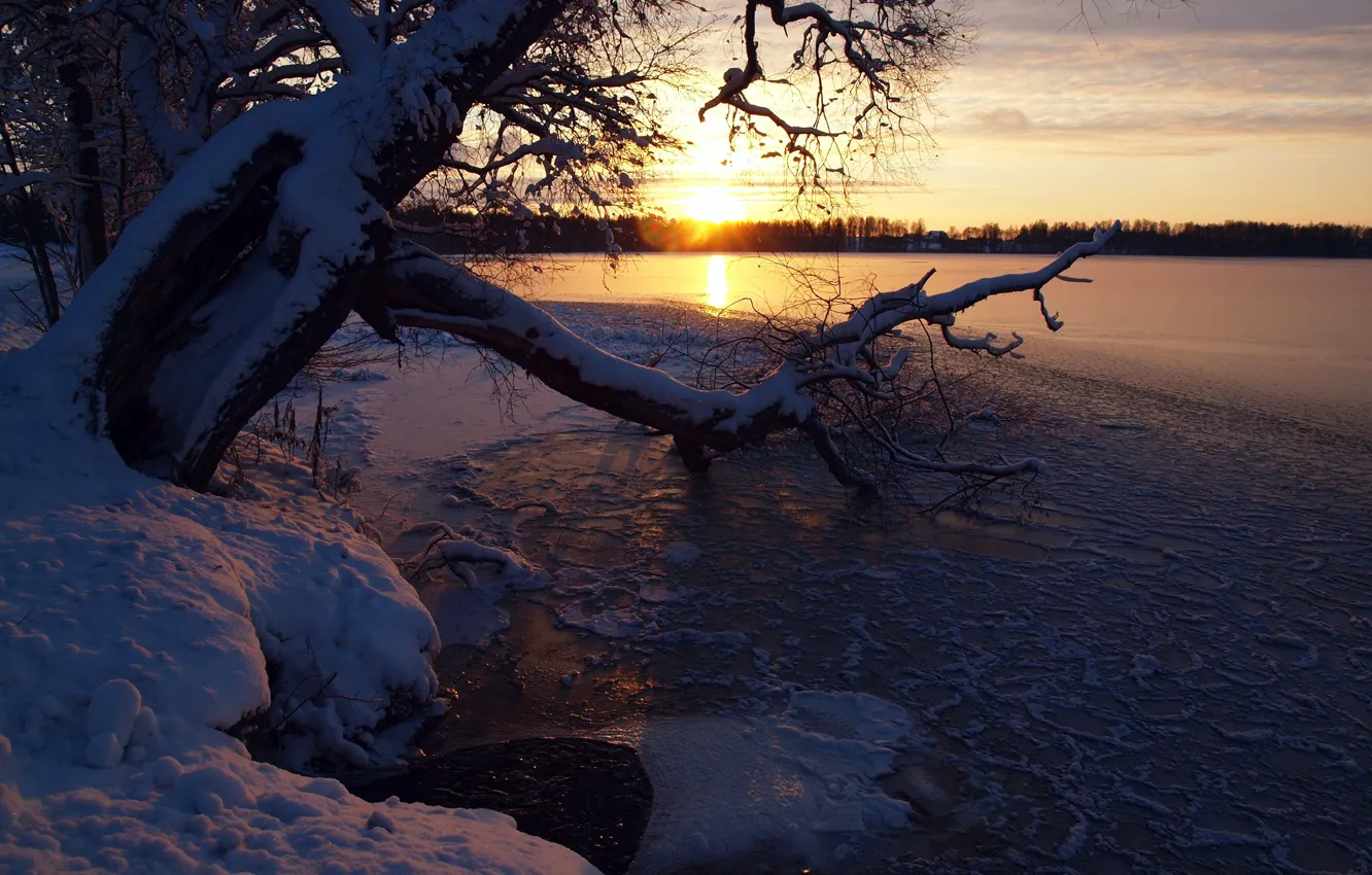 Photo wallpaper winter, the sky, snow, sunset, river, tree