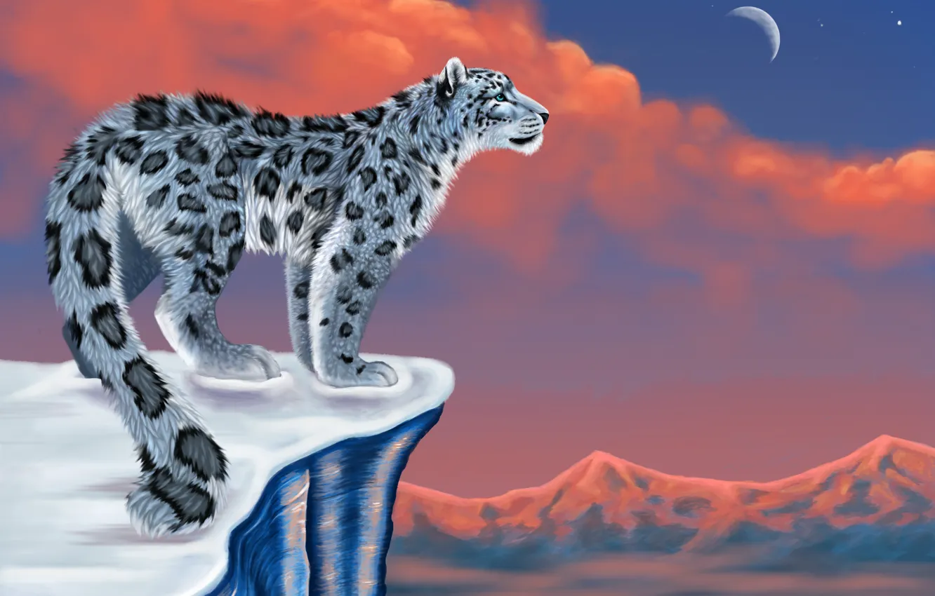 Wallpaper snow, mountains, the moon, figure, IRBIS, snow leopard, snow  leopard images for desktop, section кошки - download