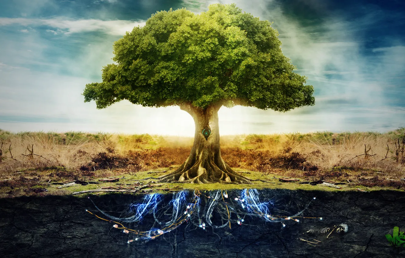 Wallpaper the sky, roots, earth, Tree, electricity images for desktop, section фантастика - download
