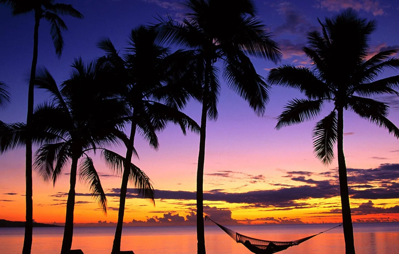 Photo wallpaper Sunset, Fiji, Palm trees, hammock