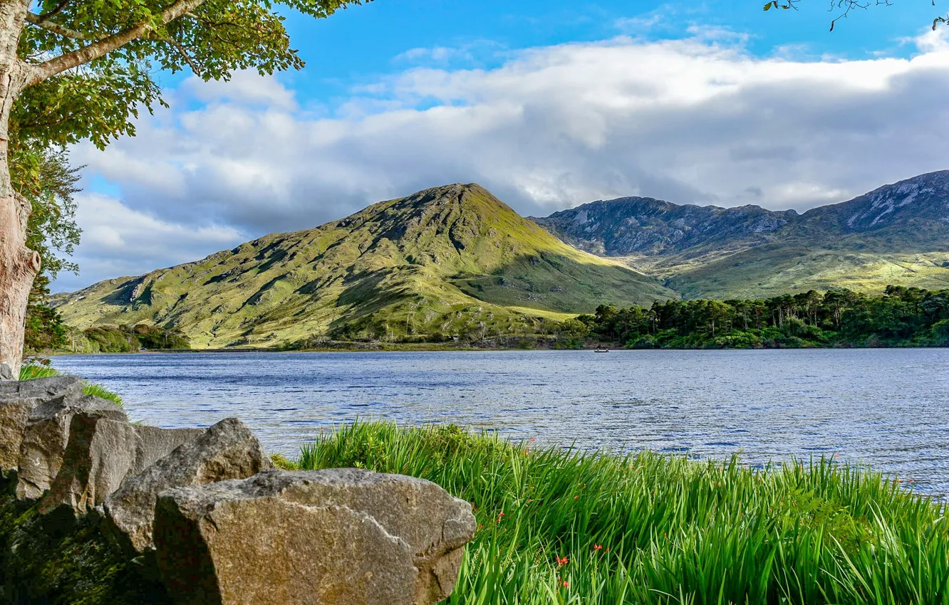 Photo wallpaper grass, clouds, trees, mountains, river, stones, shore, Ireland, County Galway