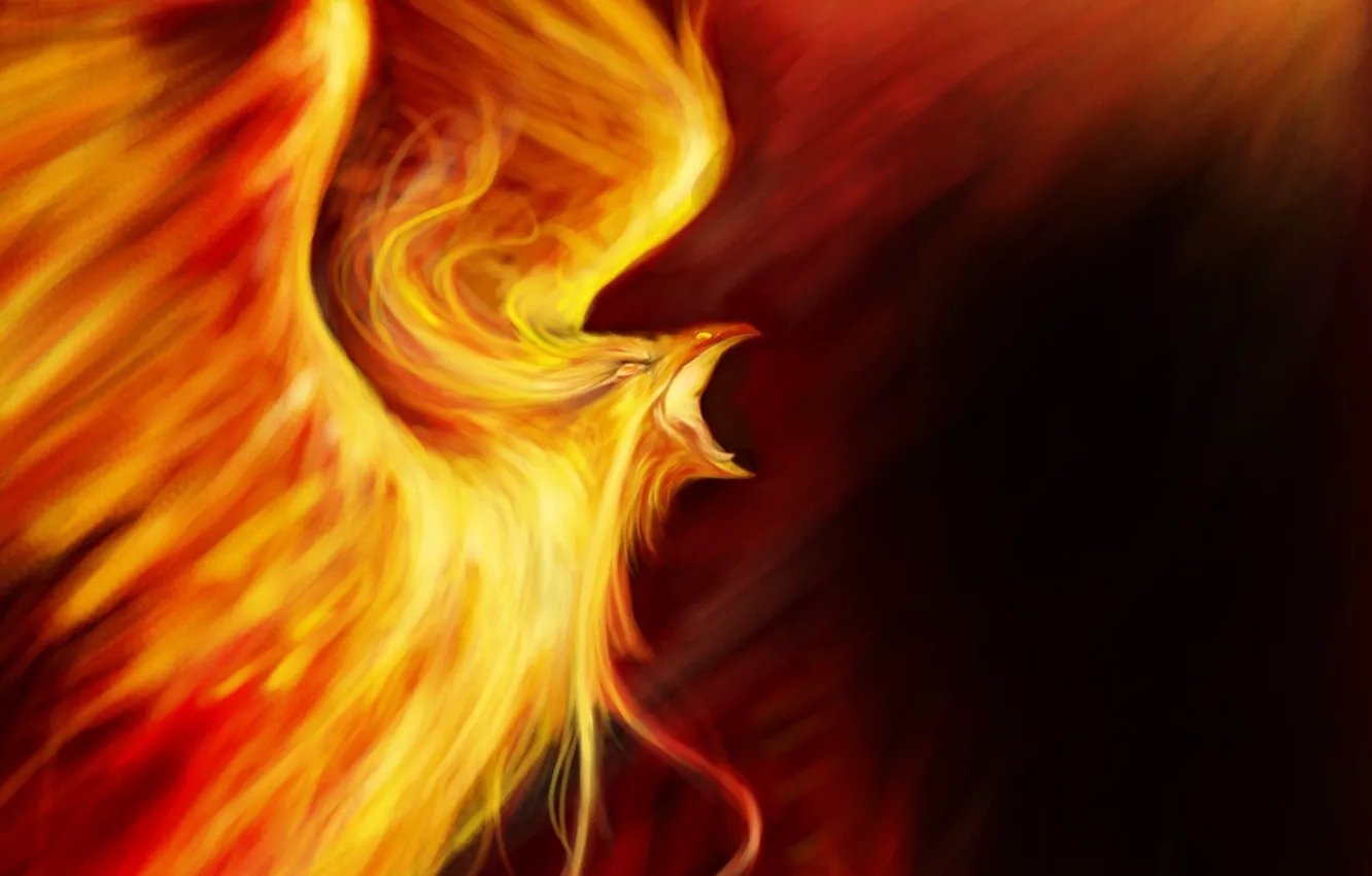 Wallpaper fire, bird, fantasy, art, Phoenix images for desktop, section  живопись - download