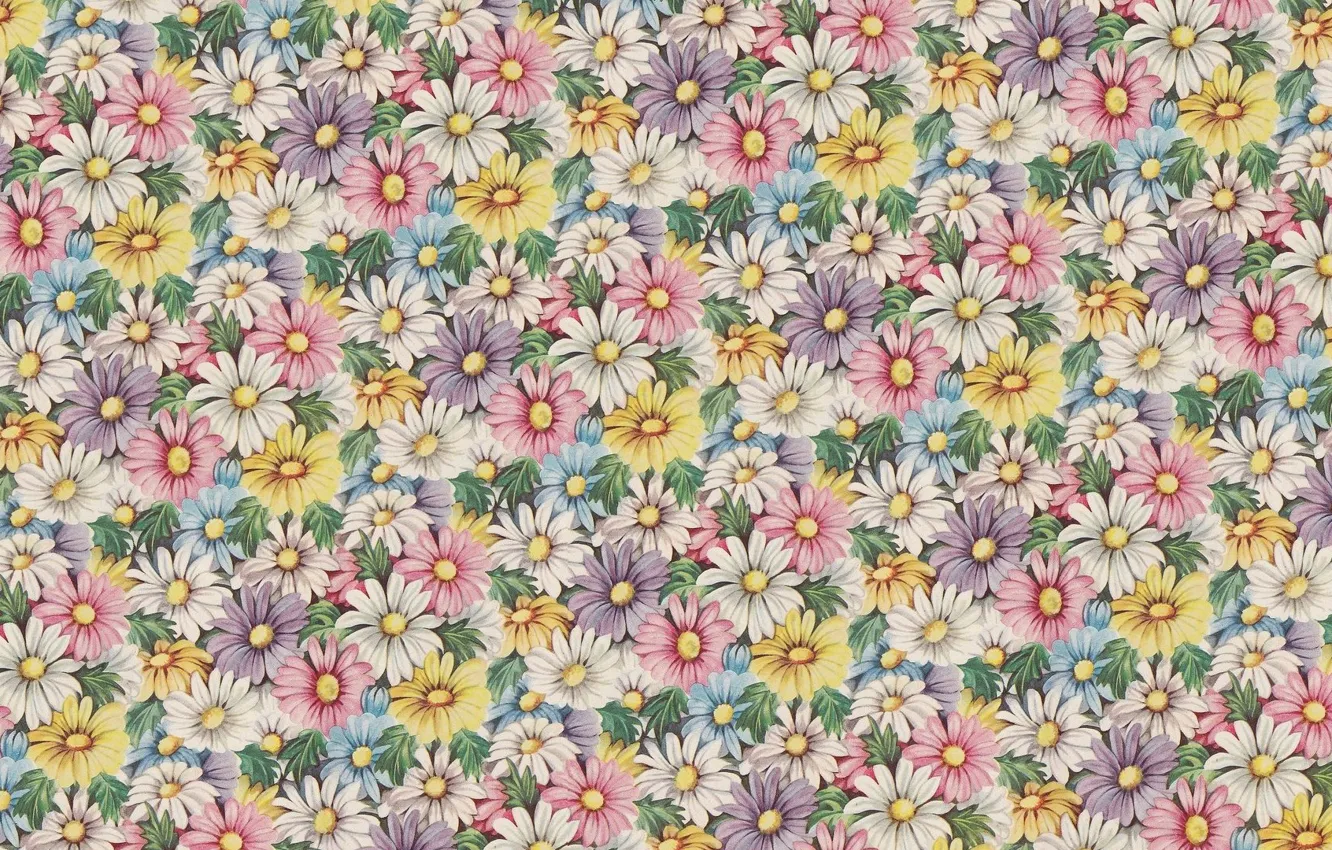 Photo wallpaper flowers, background, mood, texture, art, vintage, kosmeya