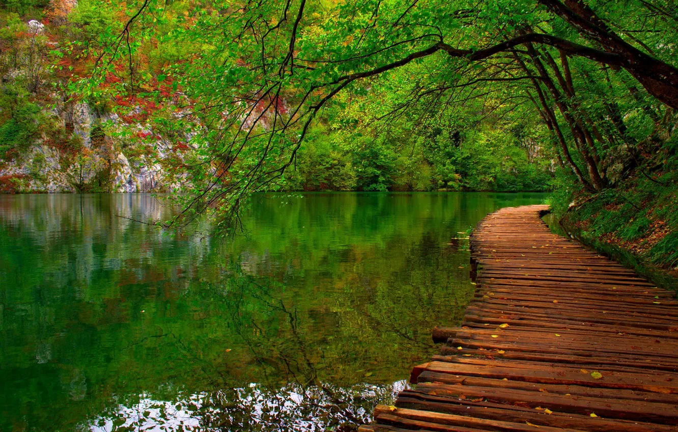 Wallpaper forest, leaves, water, trees, mountains, nature, Park, river,  colors, colorful, forest, river, trees, nature, water, park images for  desktop, section природа - download