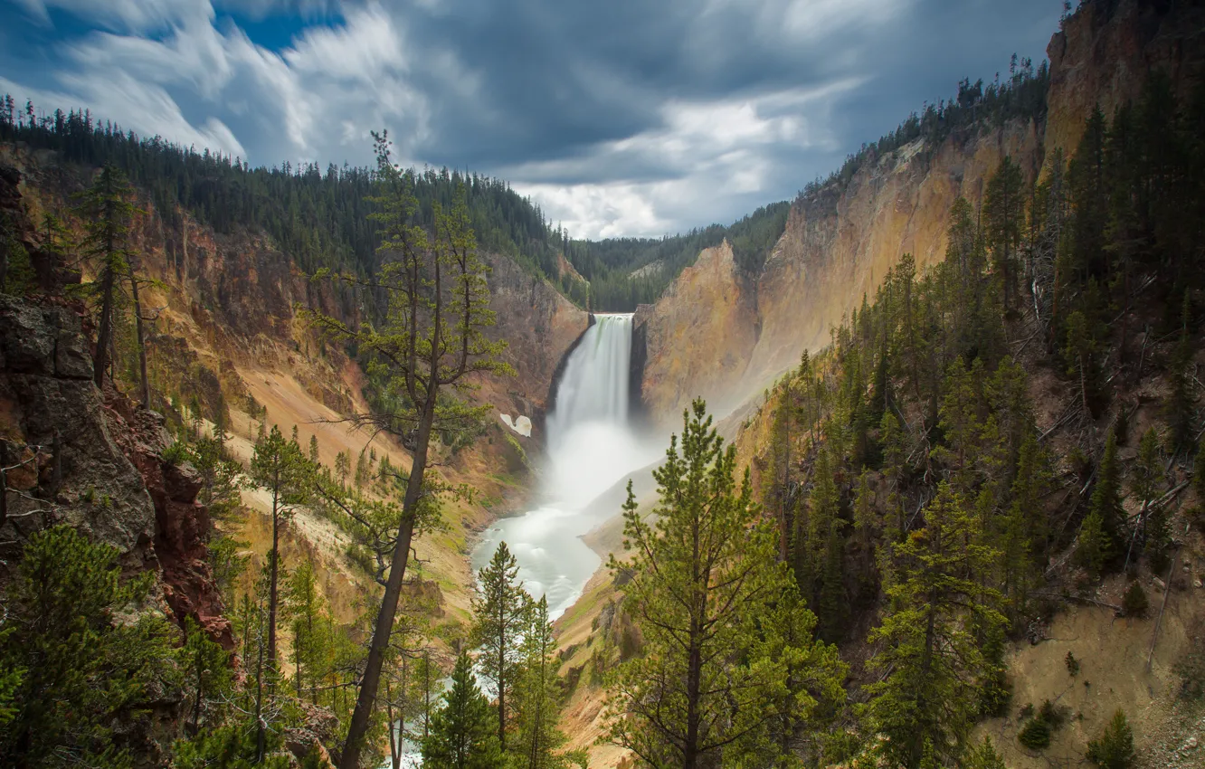 Photo wallpaper forest, rock, waterfall, Wyoming, Lower Falls, USА, Canyon Junction, yellowstone national park