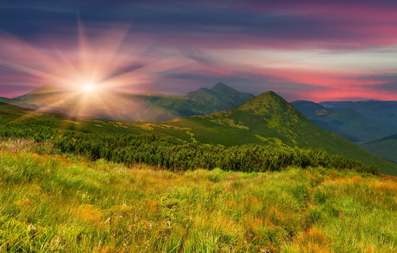 Photo wallpaper greens, field, grass, the sun, trees, sunset, mountains, nature, the evening, slope