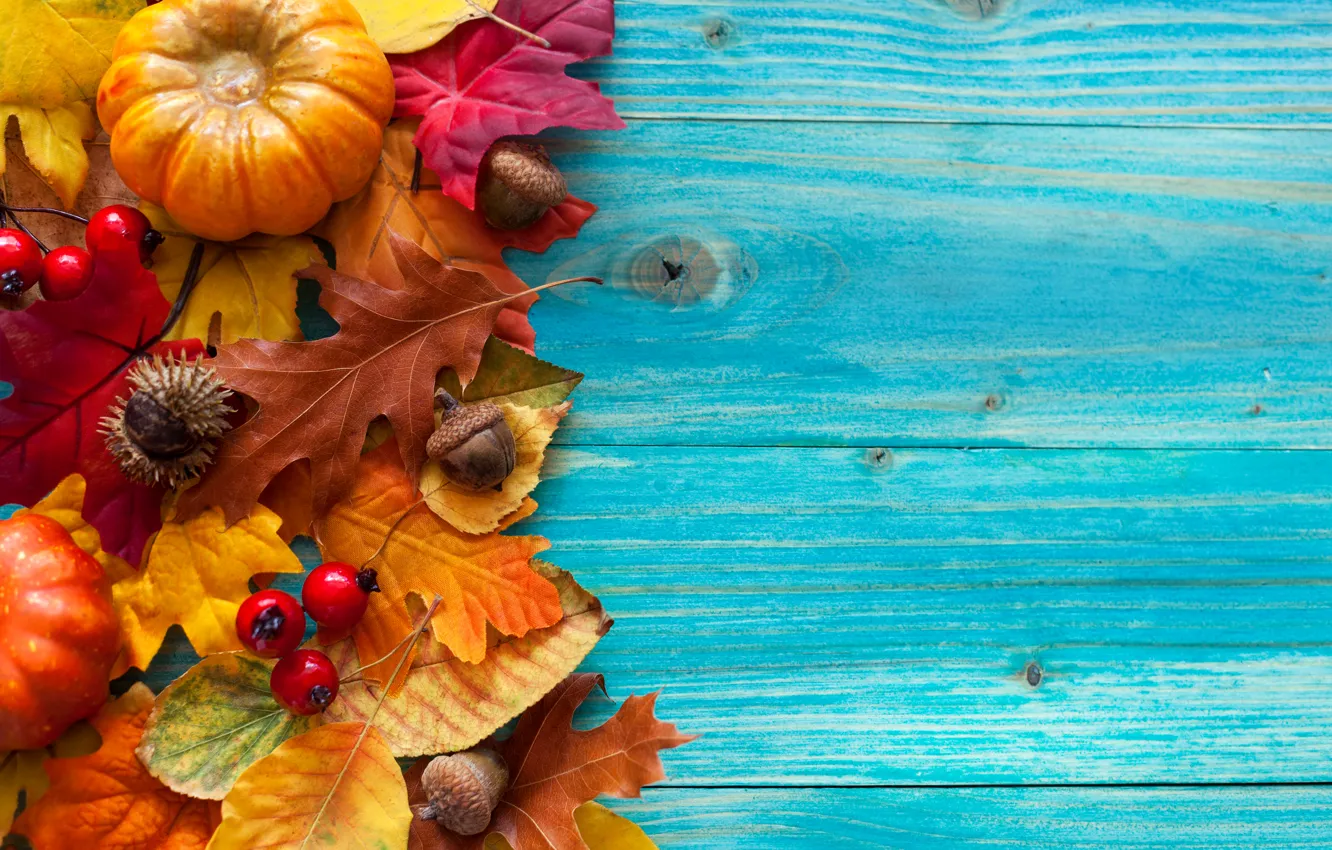 Photo wallpaper autumn, leaves, berries, tree, harvest, pumpkin, acorns