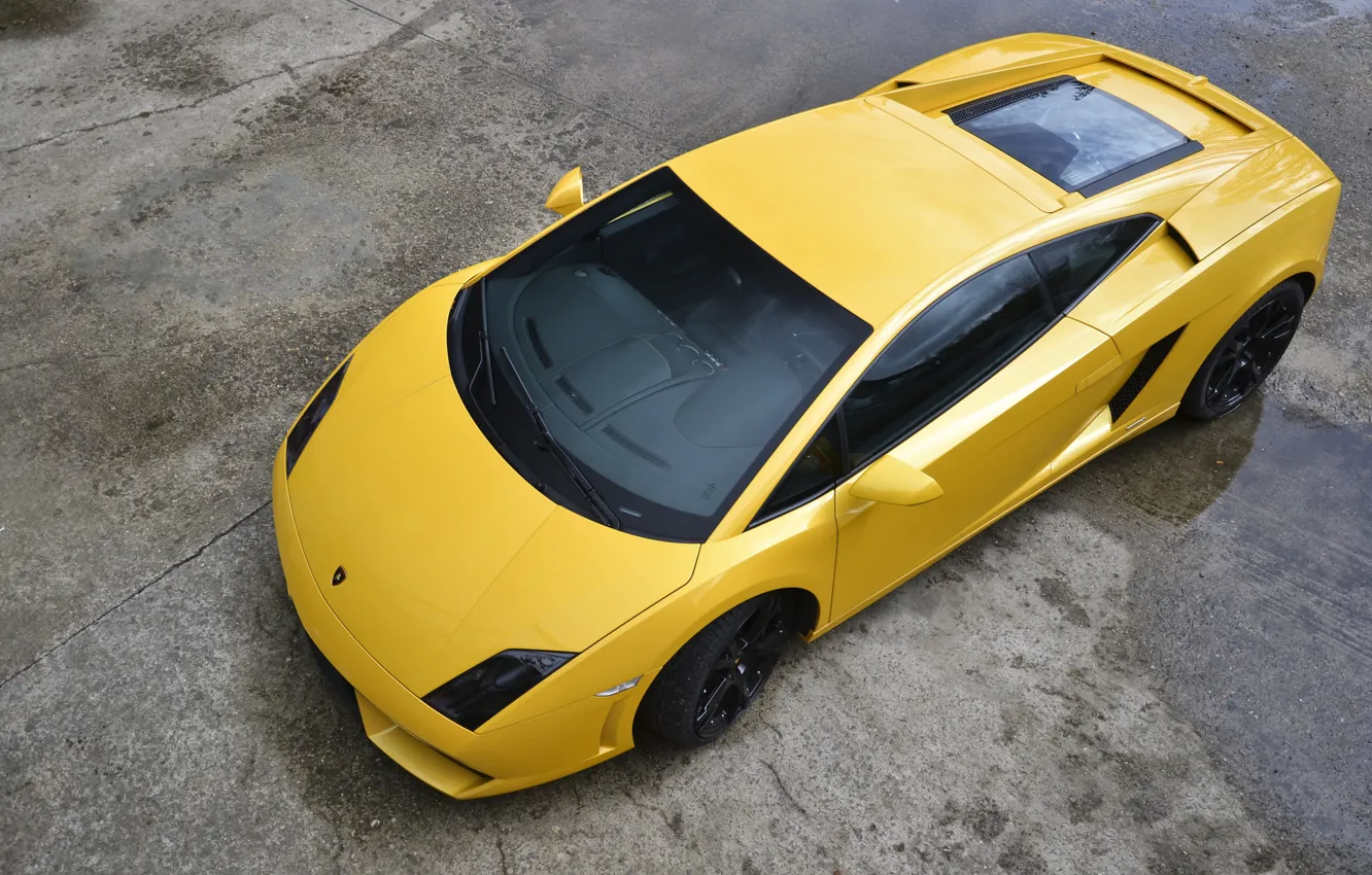 Photo wallpaper yellow, Lamborghini, Gallardo, Yellow, Lamborghini, LP560-4