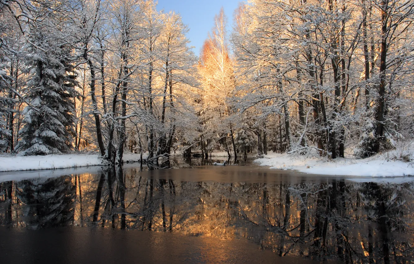 Photo wallpaper winter, forest, snow, river