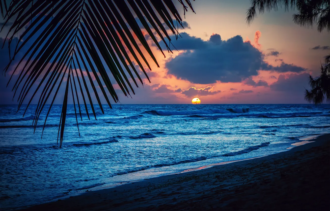 Photo wallpaper beach, the sun, sunset, sheet, palm trees, the evening, silhouette, Barbados, the Caribbean sea