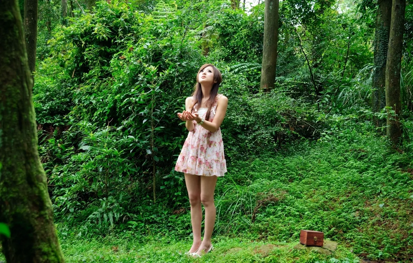 Photo wallpaper forest, Japanese, short dress
