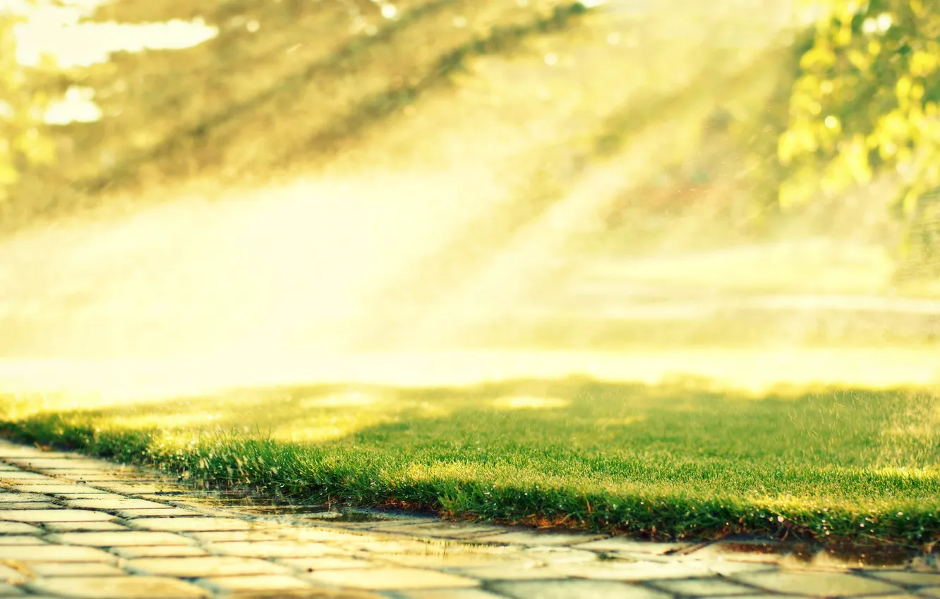 Photo wallpaper road, greens, grass, the sun, drops, rays, trees, nature, Rosa, lawn, morning, pavers