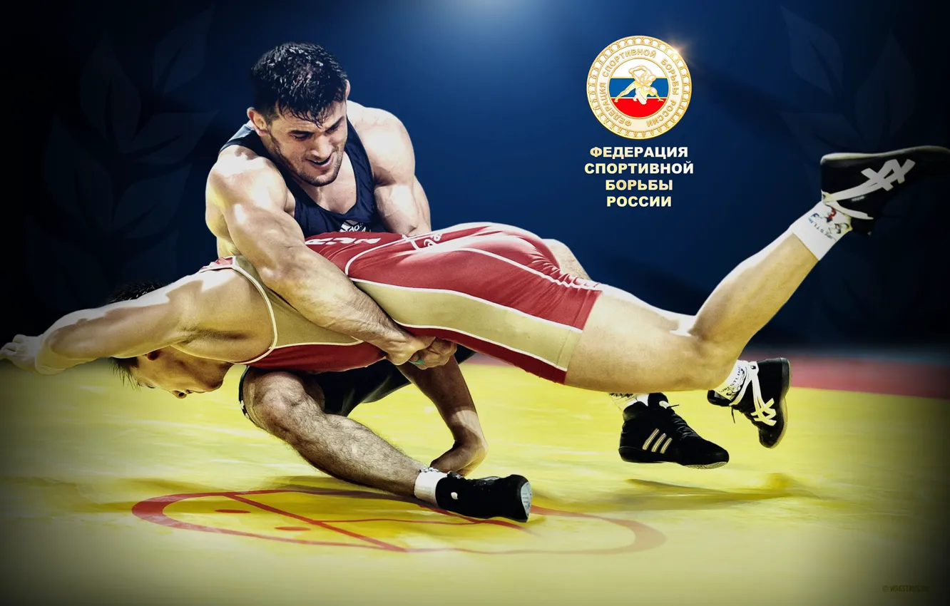 Wallpaper resistance, pass to feet, wrestling images for desktop, section  спорт - download