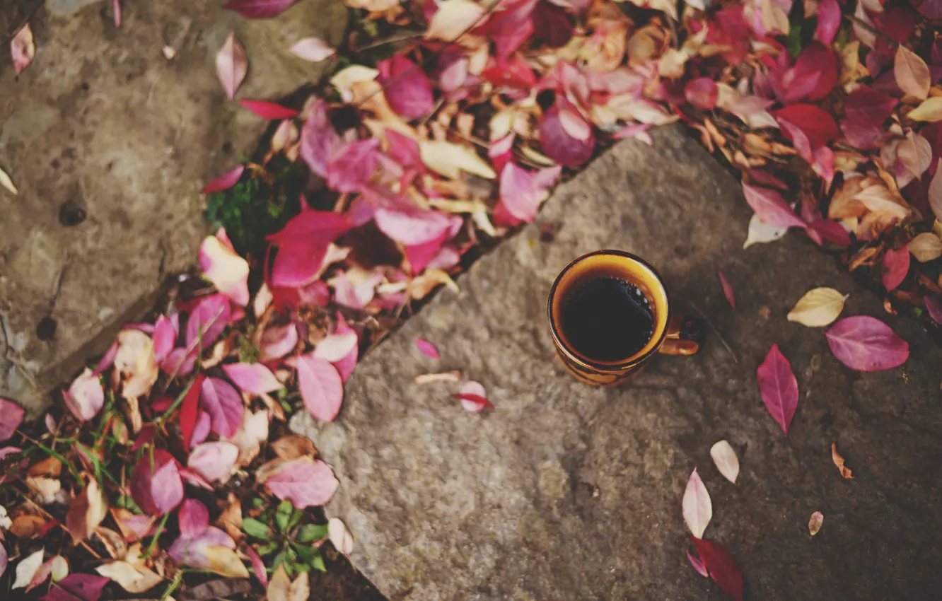 Photo wallpaper autumn, leaves, mug, Cup, red