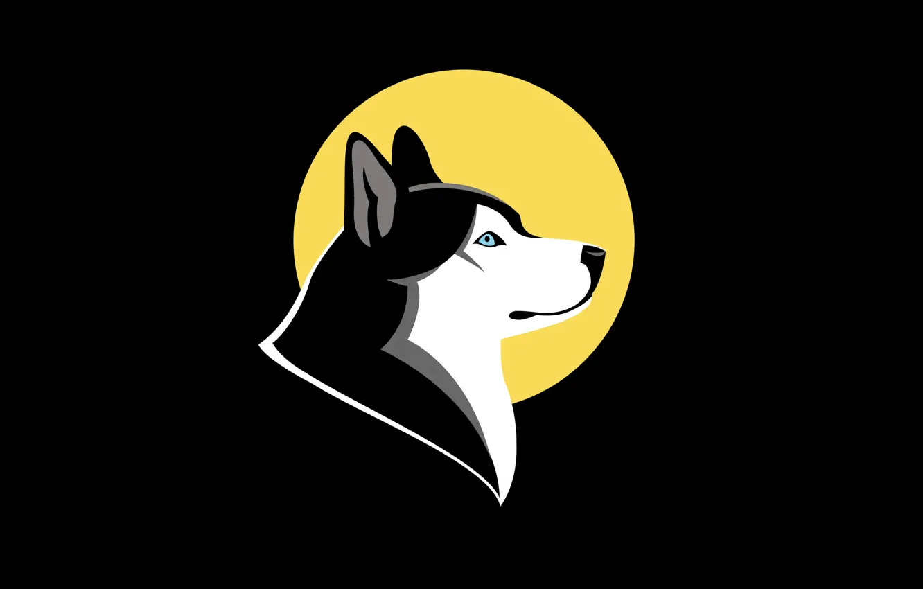 Wallpaper dog, minimalism, husky, husky. dog images for desktop, section  минимализм - download