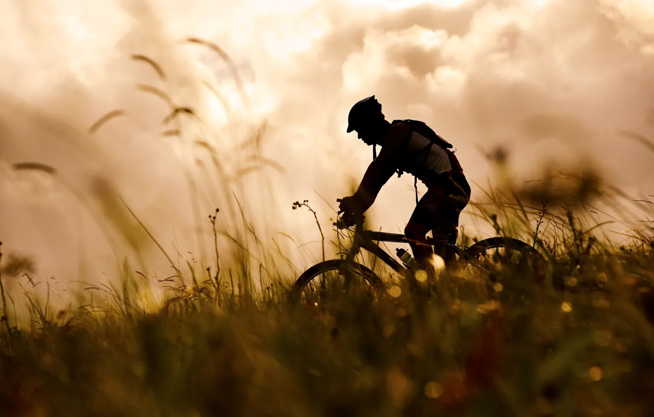 Photo wallpaper grass, bike, sport, silhouette, athlete