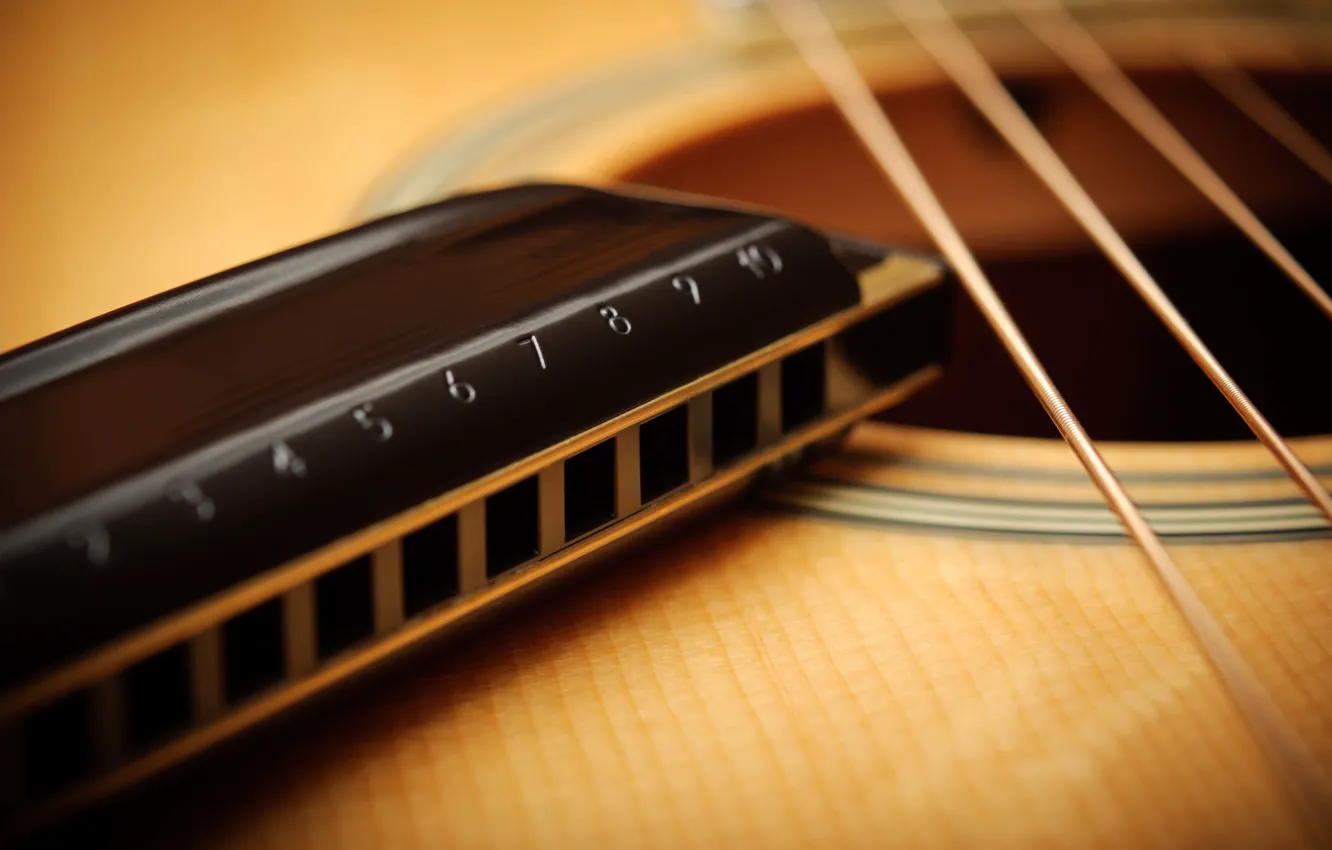 Wallpaper guitar, strings, harmonica, acoustics, macro. images for desktop,  section макро - download